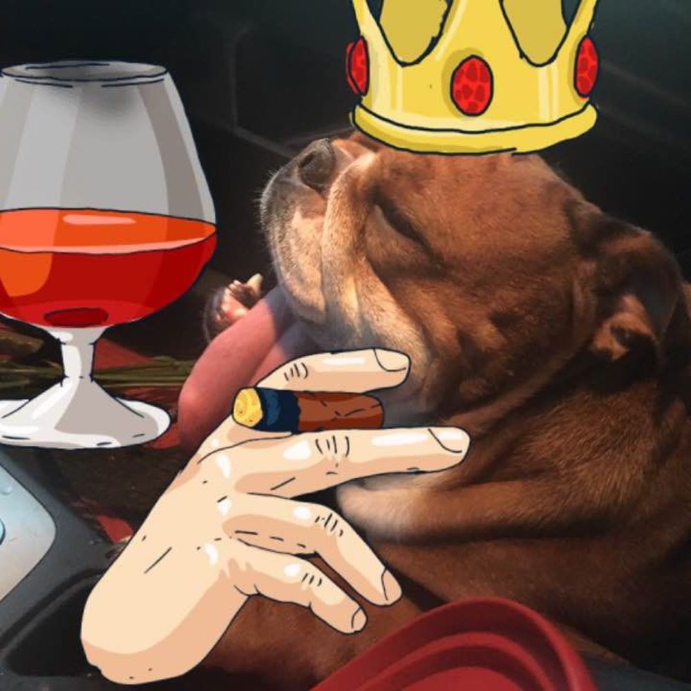 Meet your Posher, Vlad